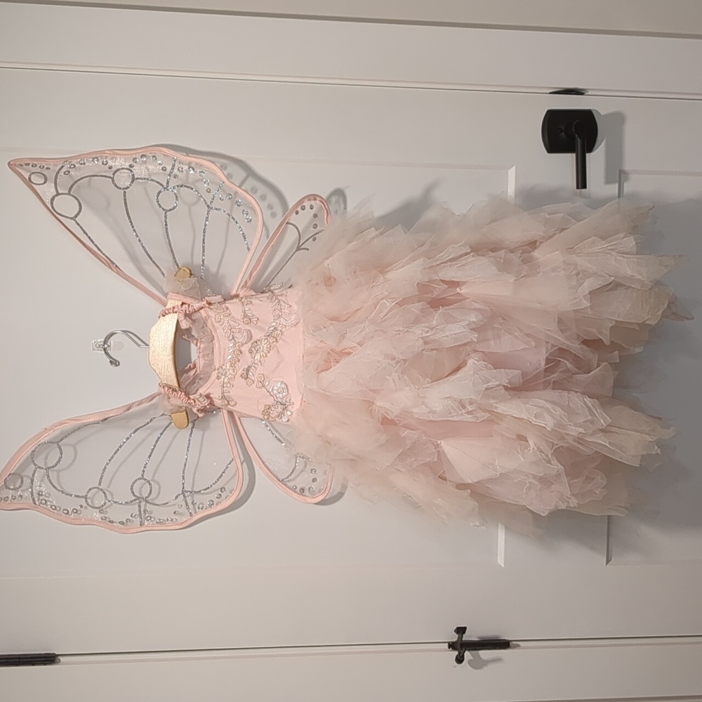 Pottery Barn x Monique Lhuillier Fairy Princess costume